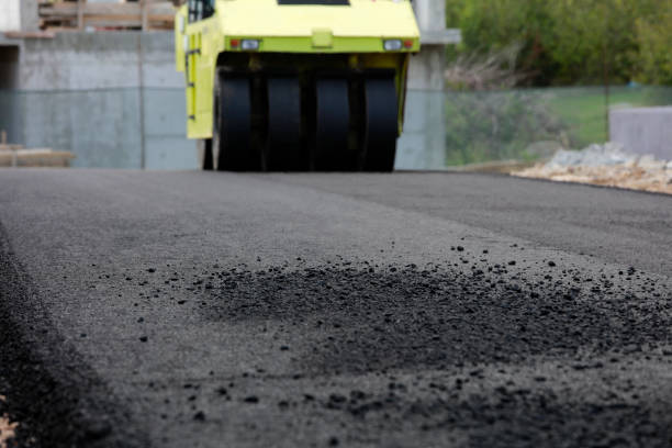 Best Local Driveway Pavers  in Seabrook, TX