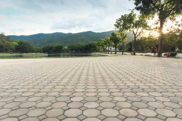 Paver Driveway Replacement in Seabrook, TX